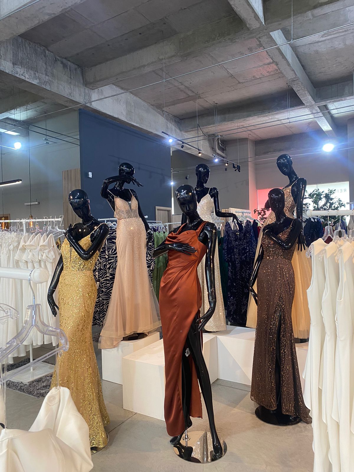 leetx-google-photo-84633-5 leetx-google-photo-84633-5