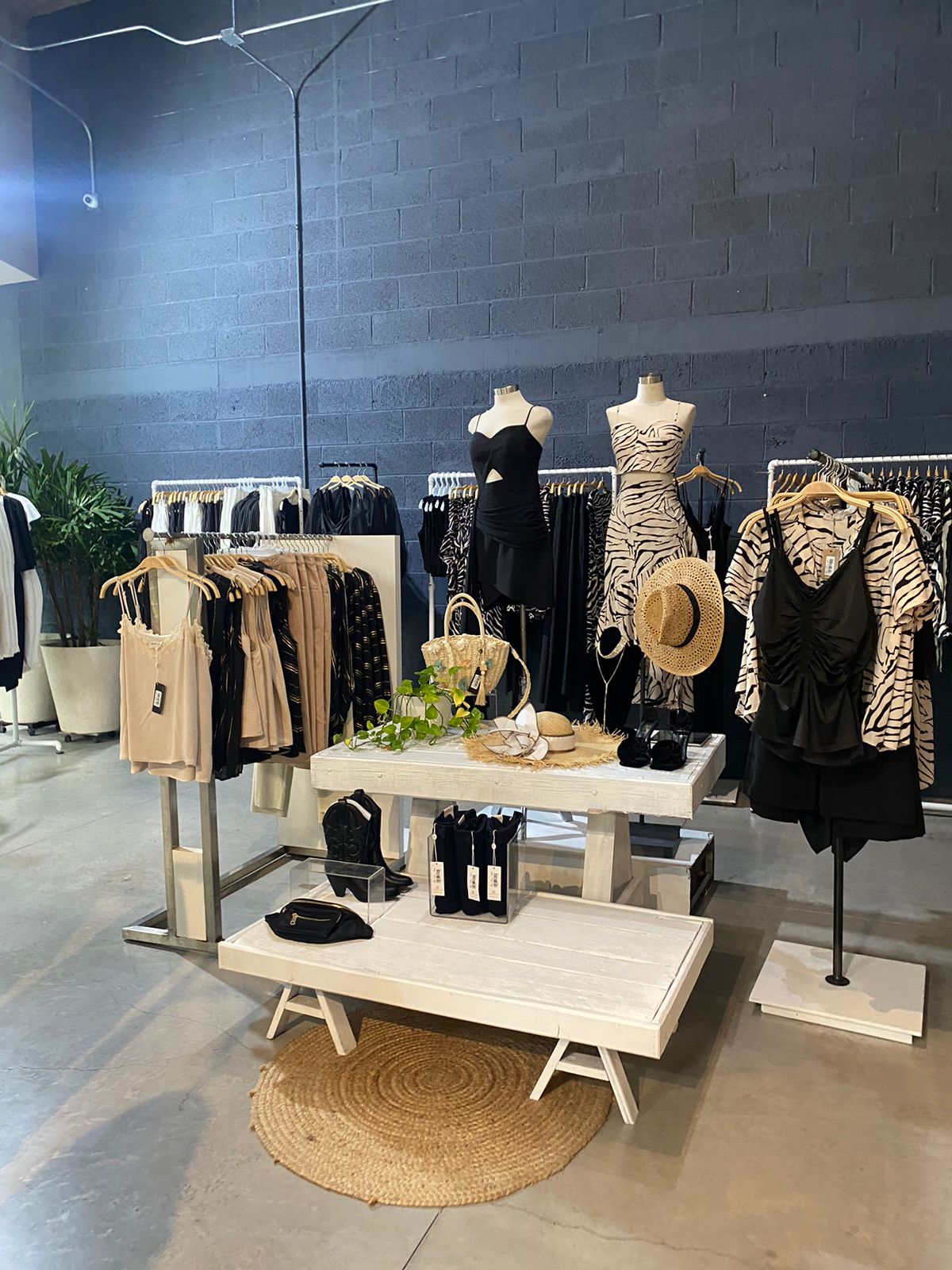 leetx-google-photo-84633-6 leetx-google-photo-84633-6