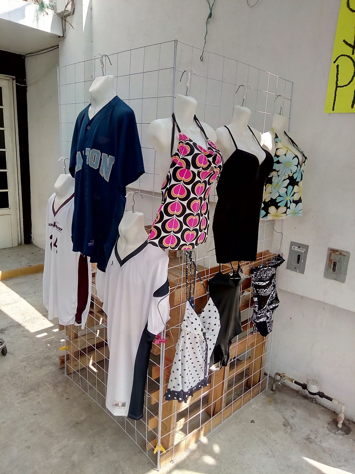 leetx-google-photo-84643-5 leetx-google-photo-84643-5