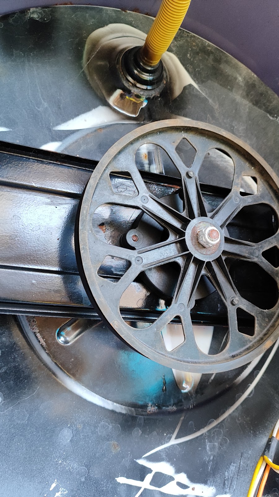 leetx-google-photo-85166-1