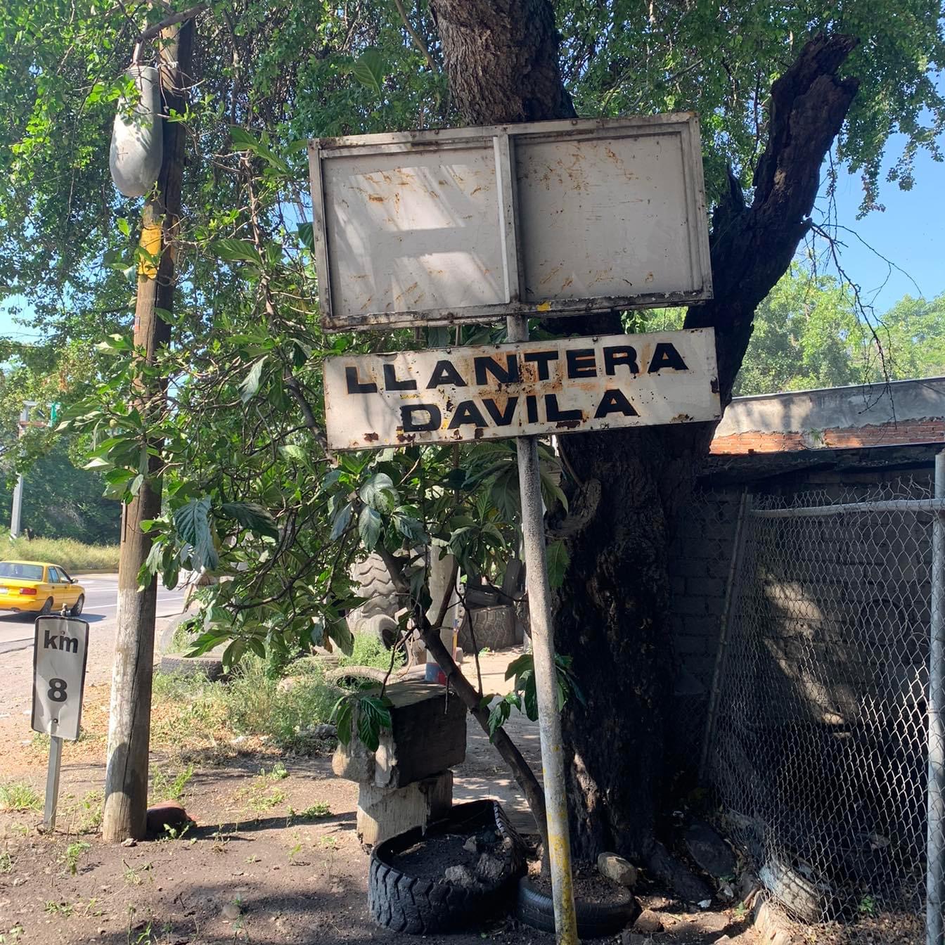 leetx-google-photo-85235-1