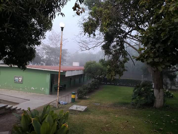 leetx-google-photo-85367-1