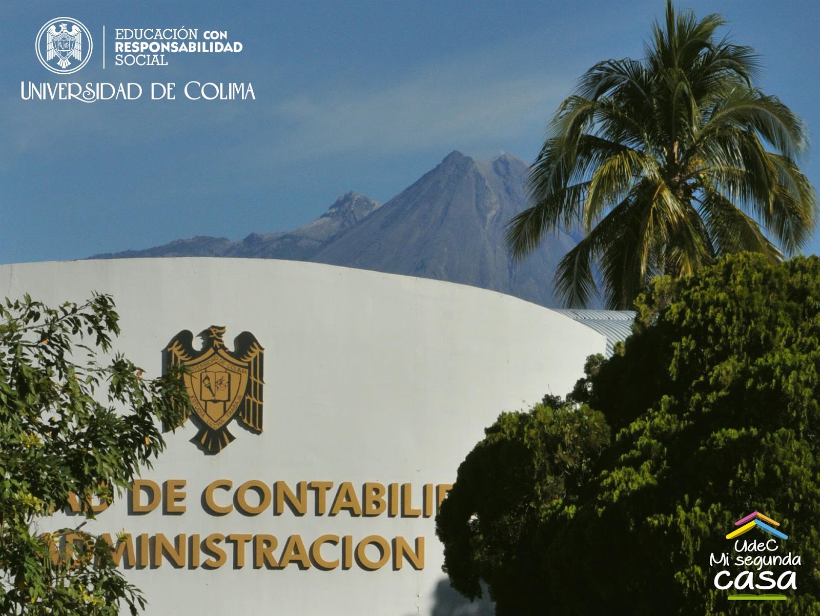 leetx-google-photo-85380-1