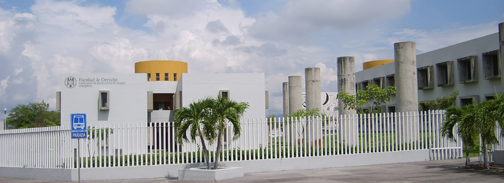 leetx-google-photo-85403-1