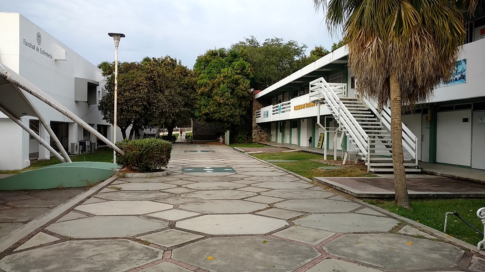 leetx-google-photo-85413-1