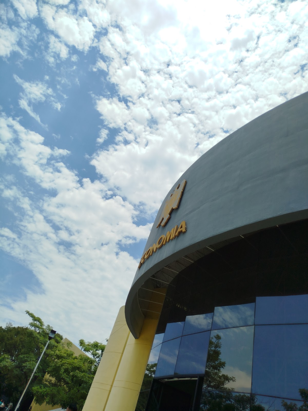 leetx-google-photo-85429-1