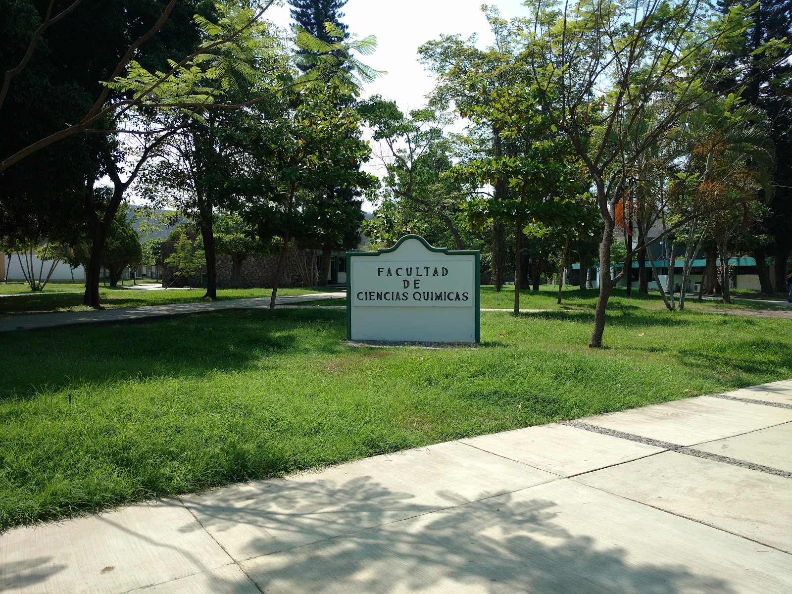 leetx-google-photo-85432-1