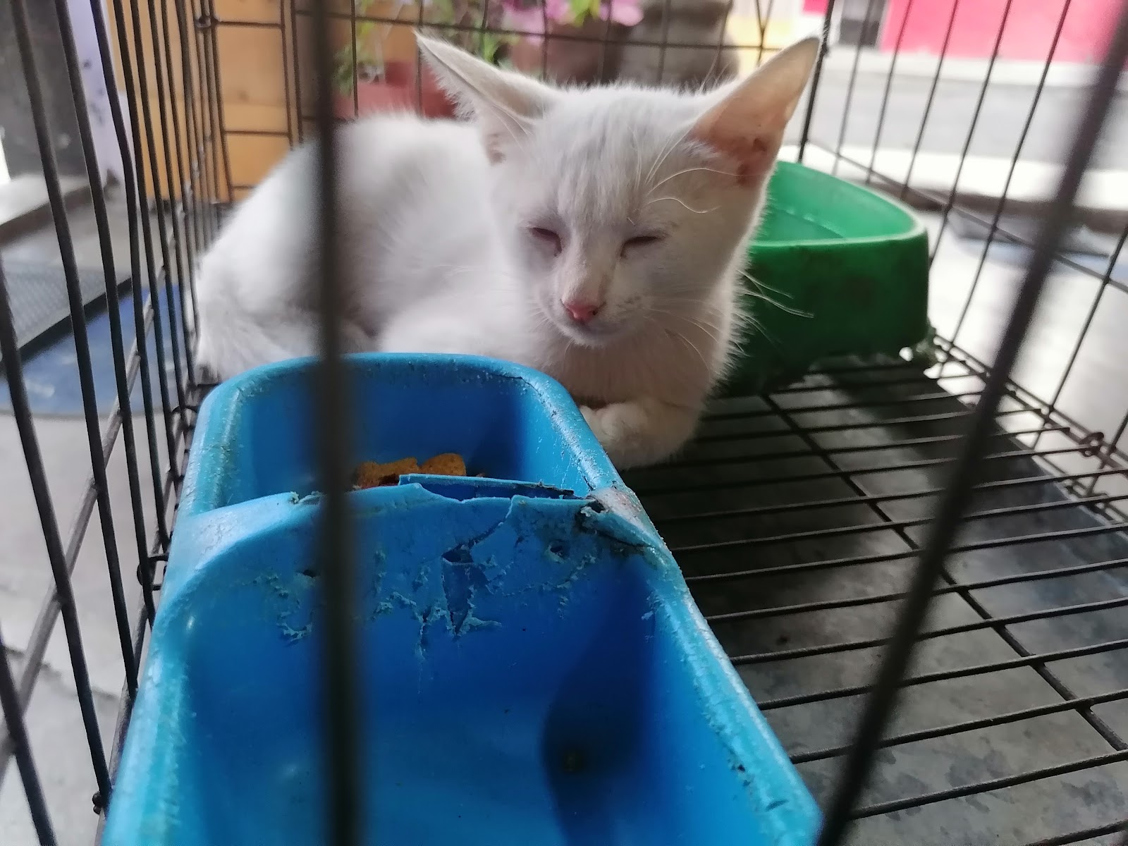 leetx-google-photo-85602-1