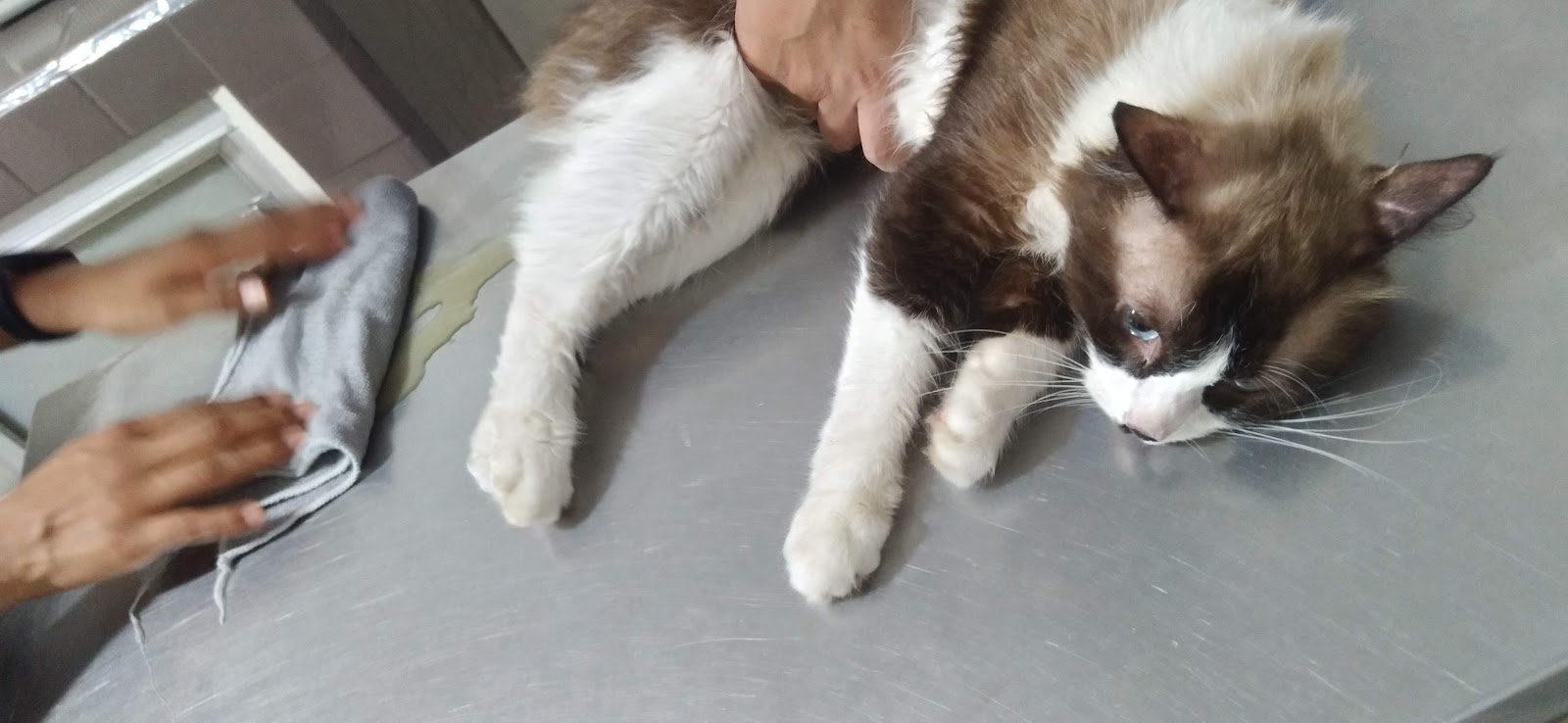 leetx-google-photo-85623-1