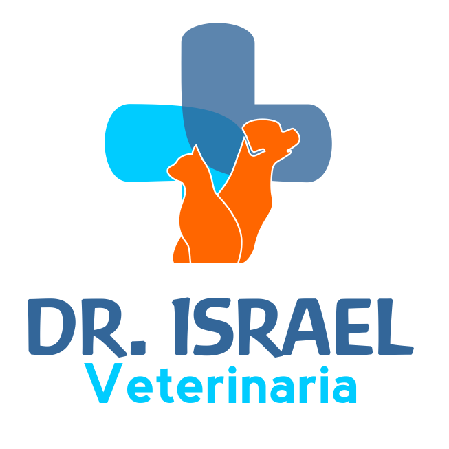 leetx-google-photo-85648-1