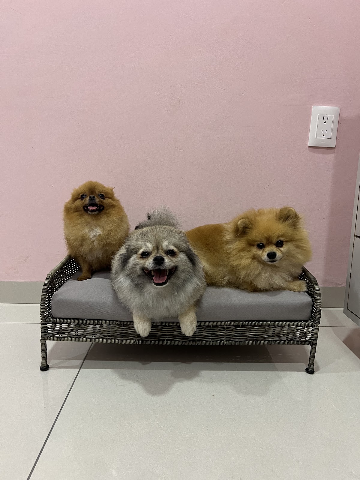 leetx-google-photo-85650-1