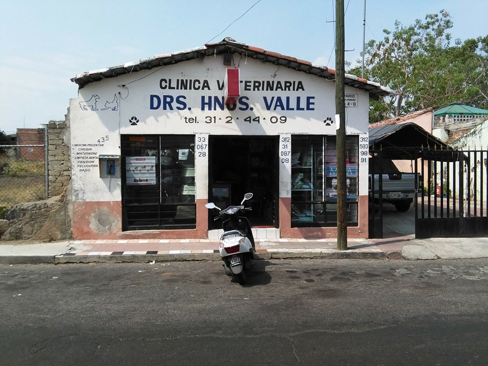 leetx-google-photo-85657-1