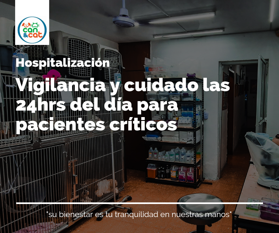 leetx-google-photo-85664-1