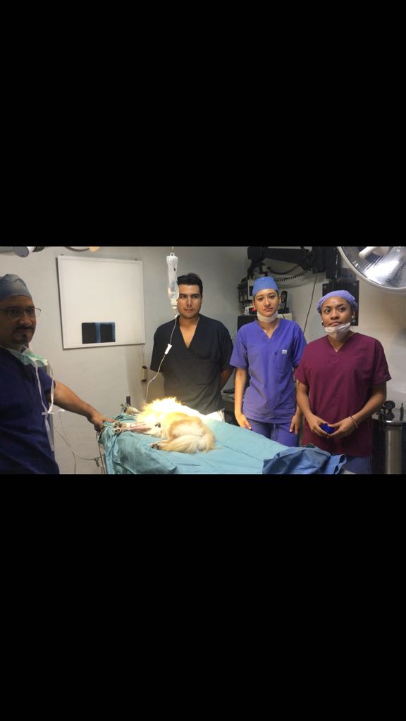 leetx-google-photo-85674-1