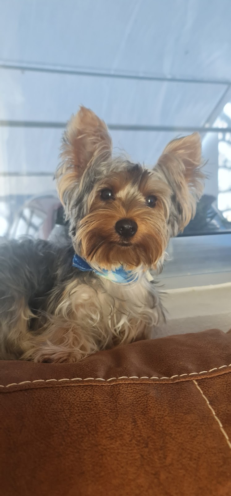 leetx-google-photo-85678-1