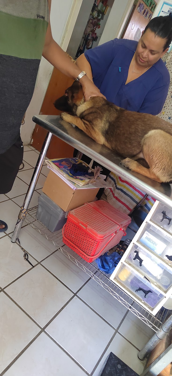 leetx-google-photo-85708-1