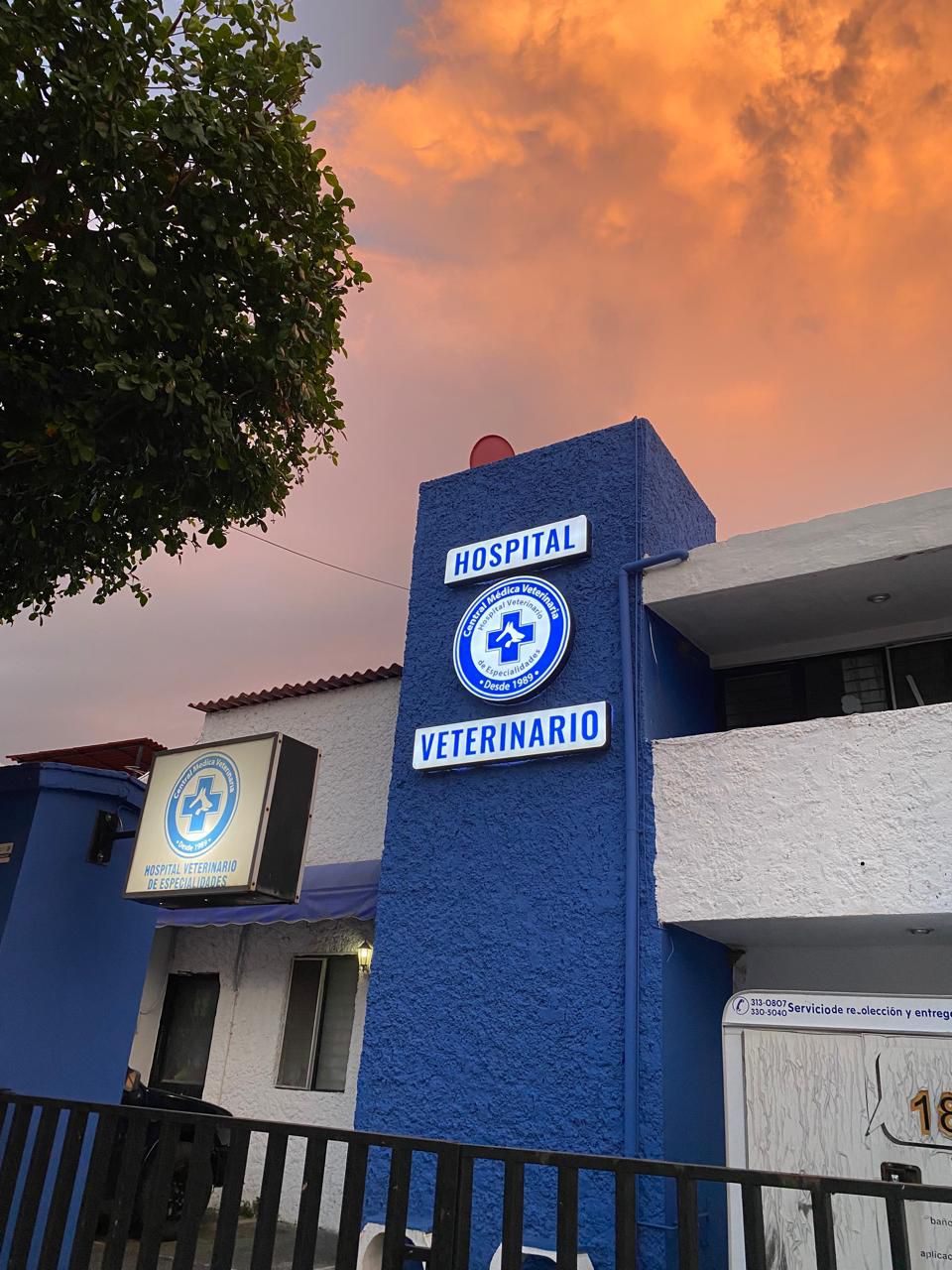 leetx-google-photo-85727-1