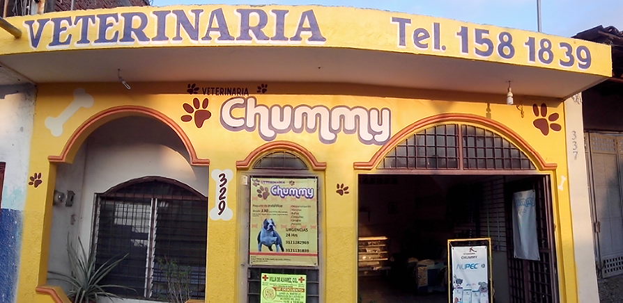 leetx-google-photo-85738-1