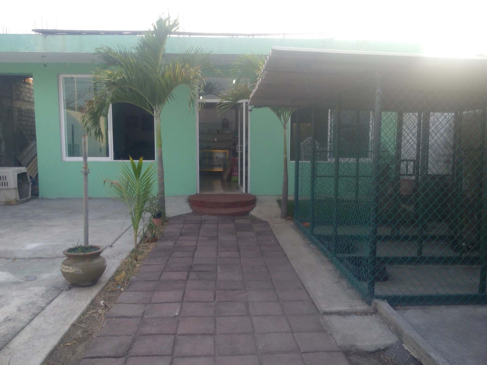 leetx-google-photo-85776-1