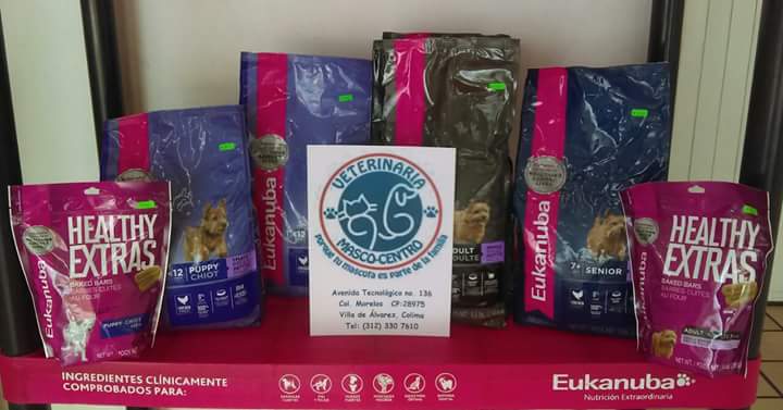 leetx-google-photo-85789-1