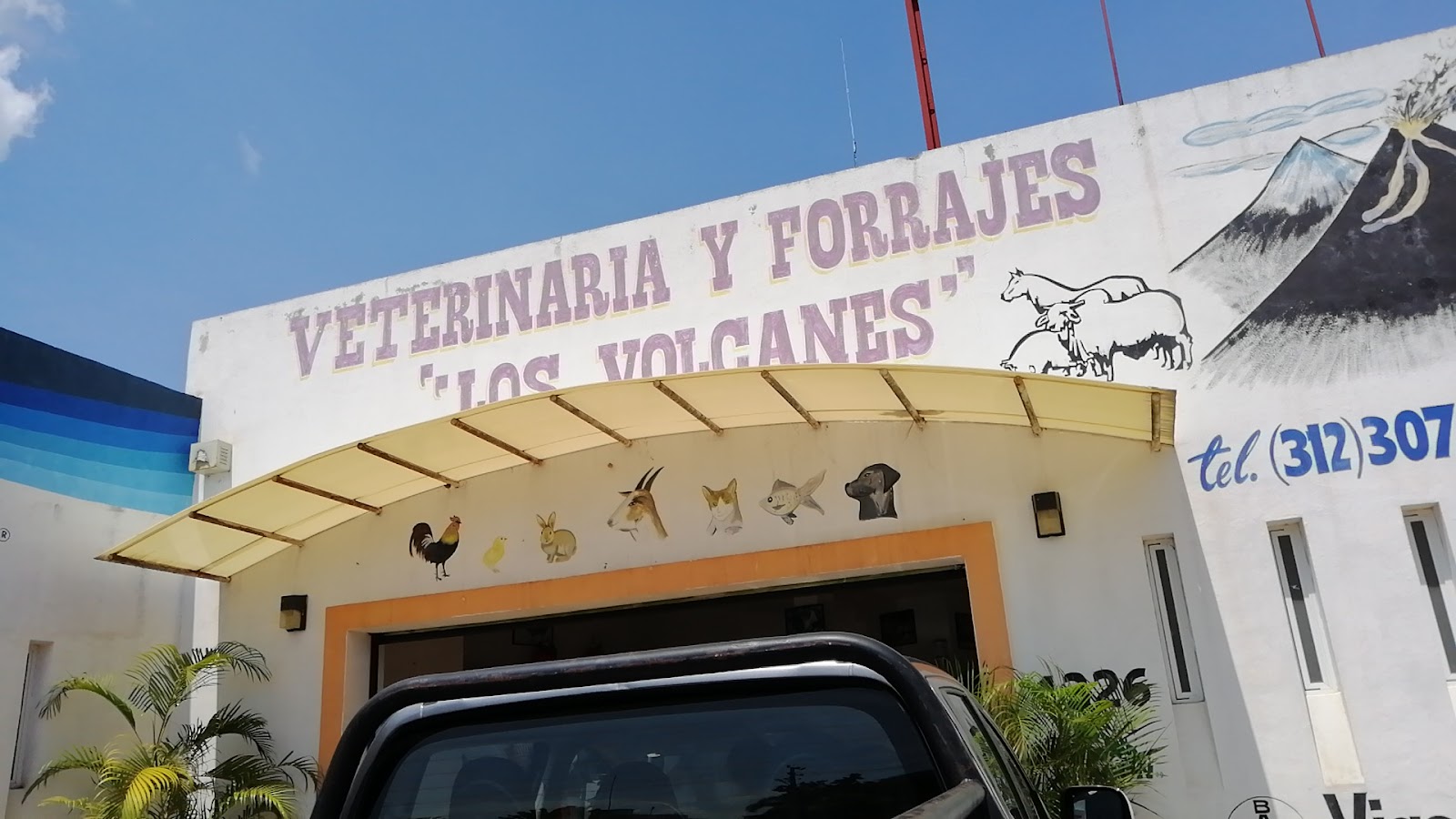 leetx-google-photo-85794-1