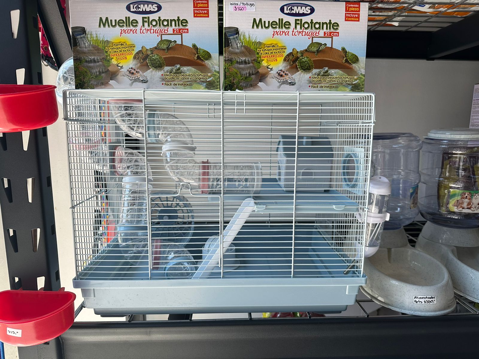 leetx-google-photo-85798-1