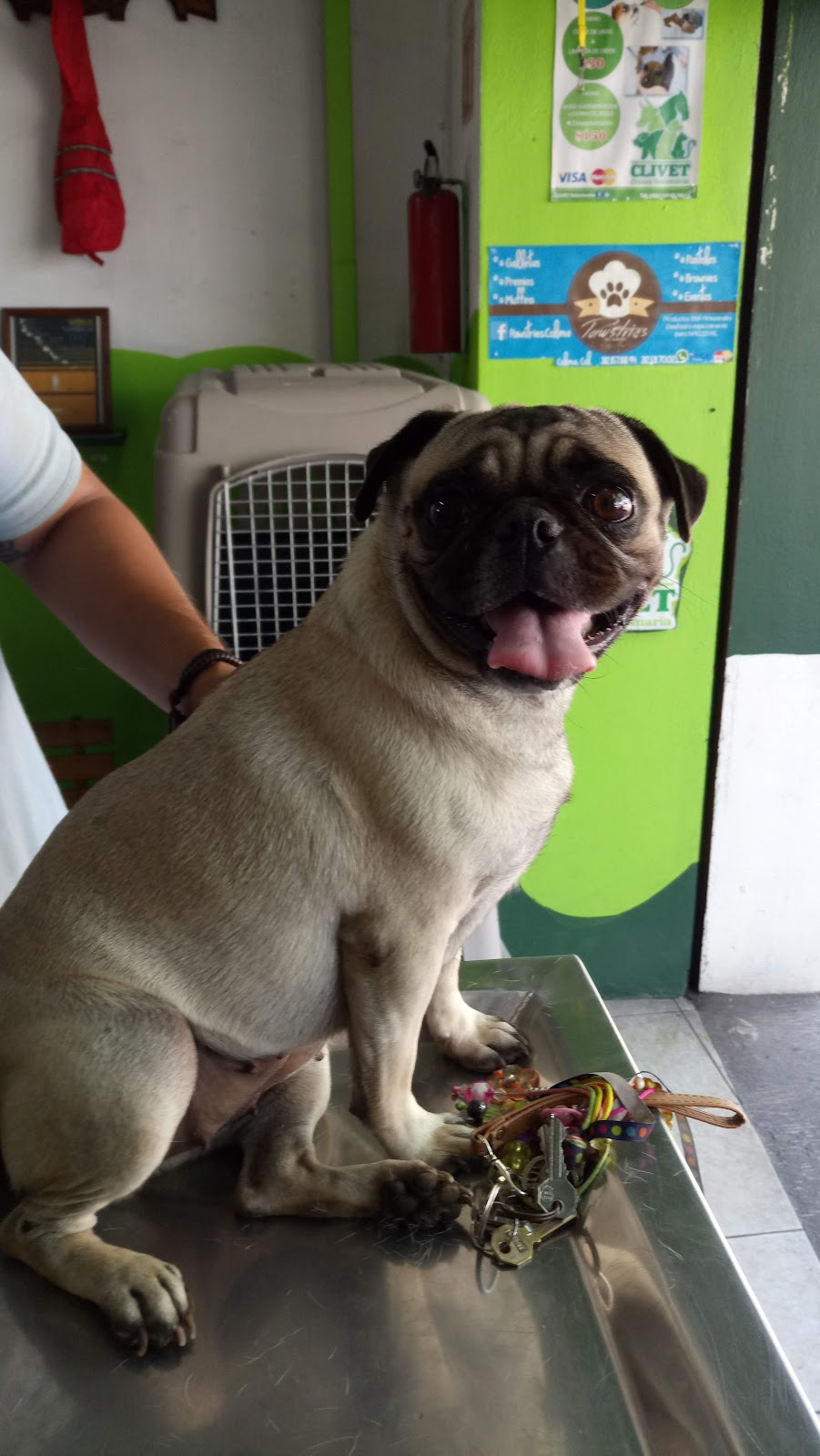 leetx-google-photo-85808-1