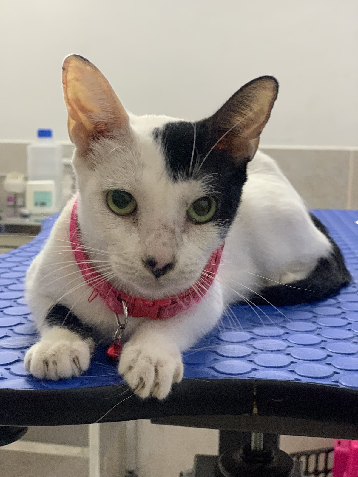 leetx-google-photo-85823-1