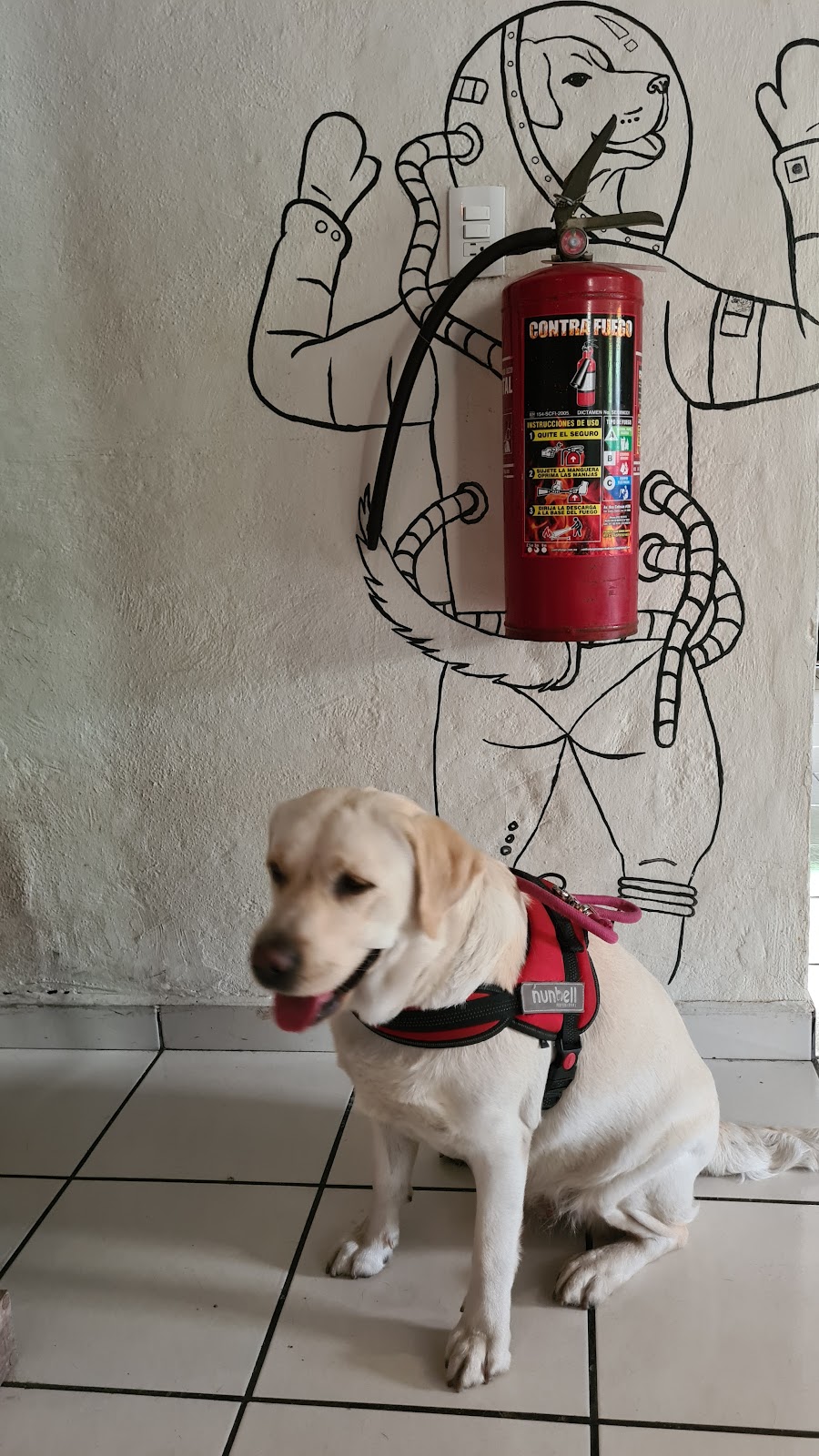 leetx-google-photo-85833-1