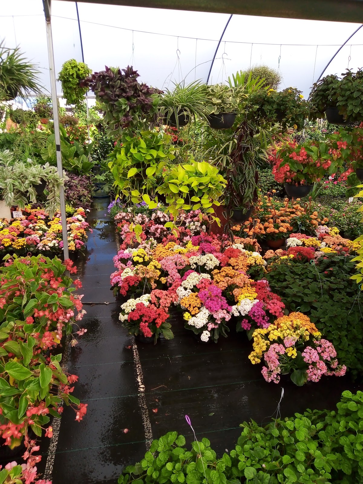 leetx-google-photo-85886-1