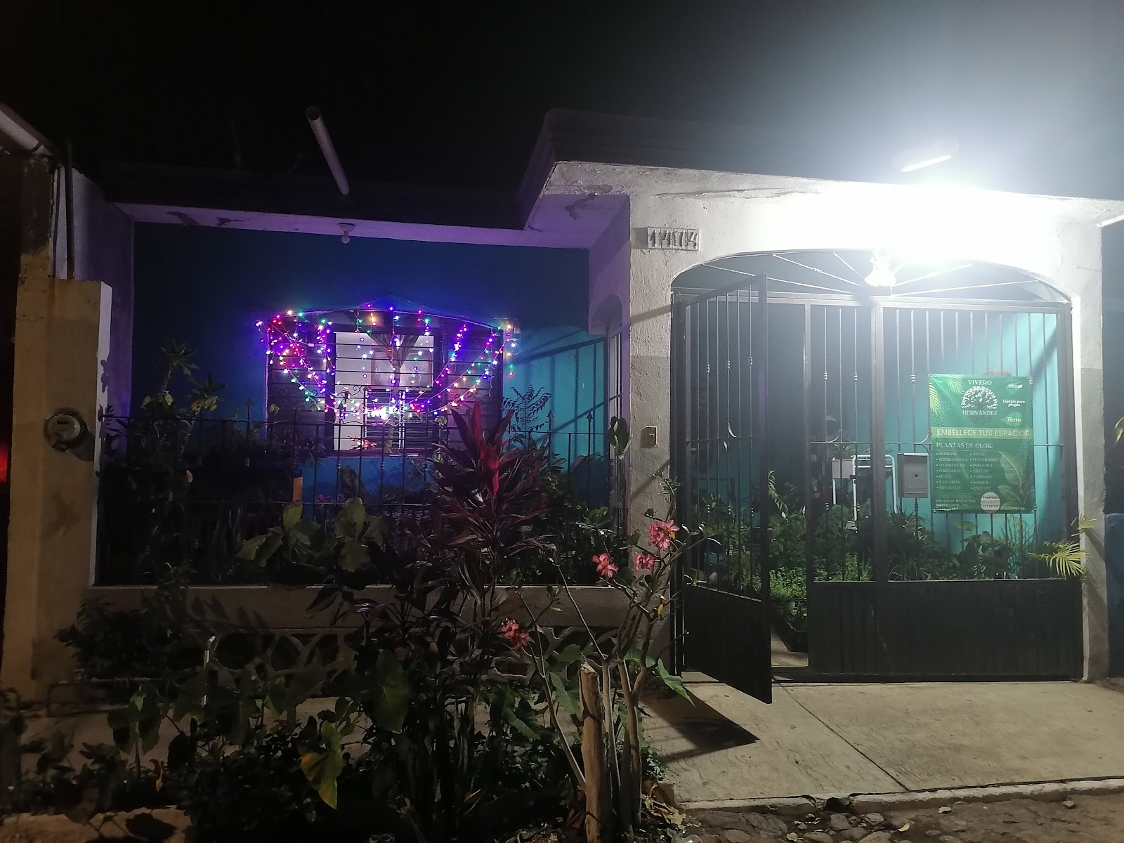 leetx-google-photo-85896-1