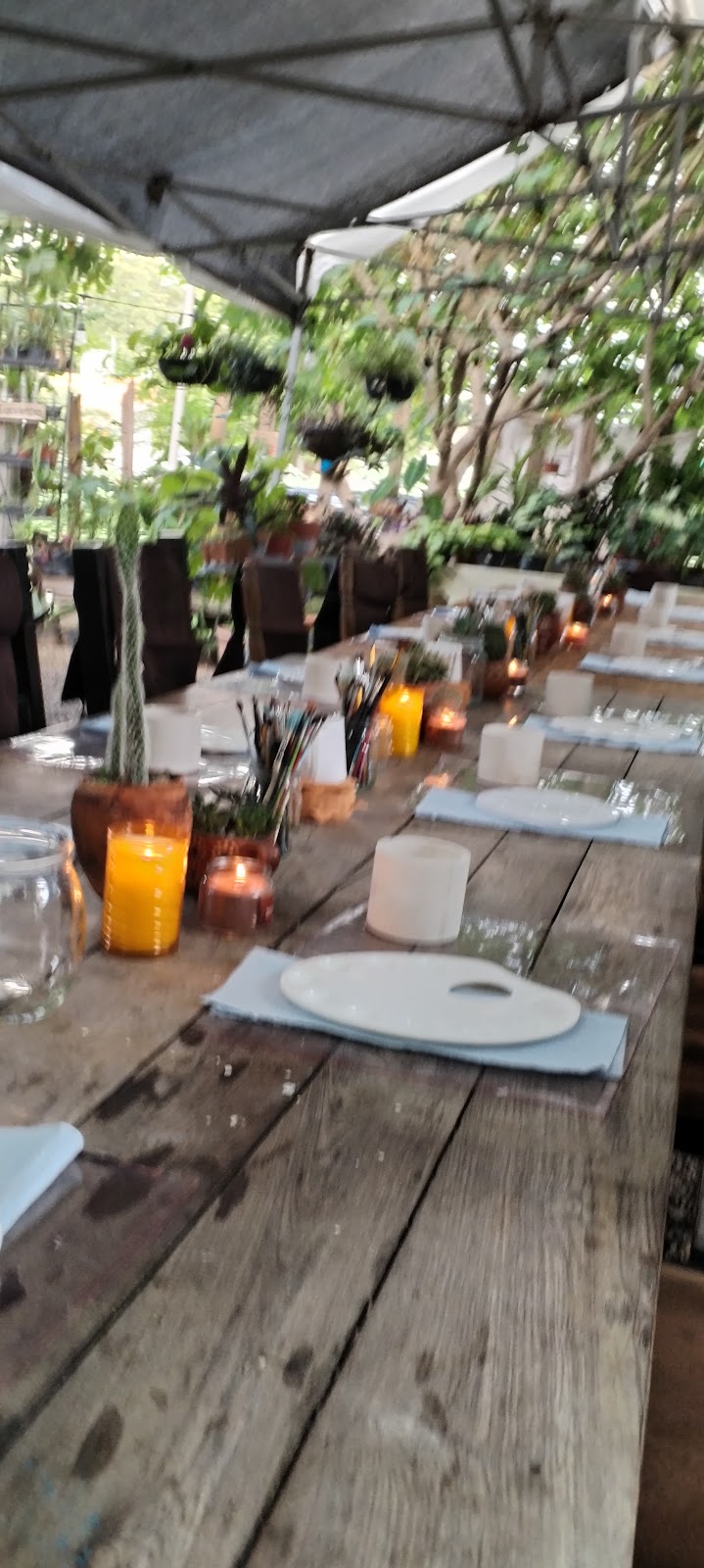 leetx-google-photo-85901-1