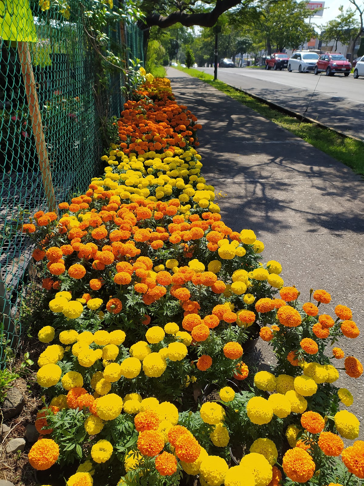 leetx-google-photo-85911-1