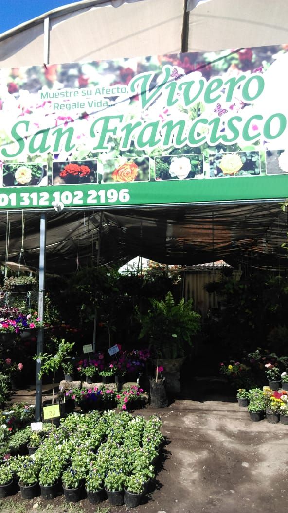 leetx-google-photo-85921-1