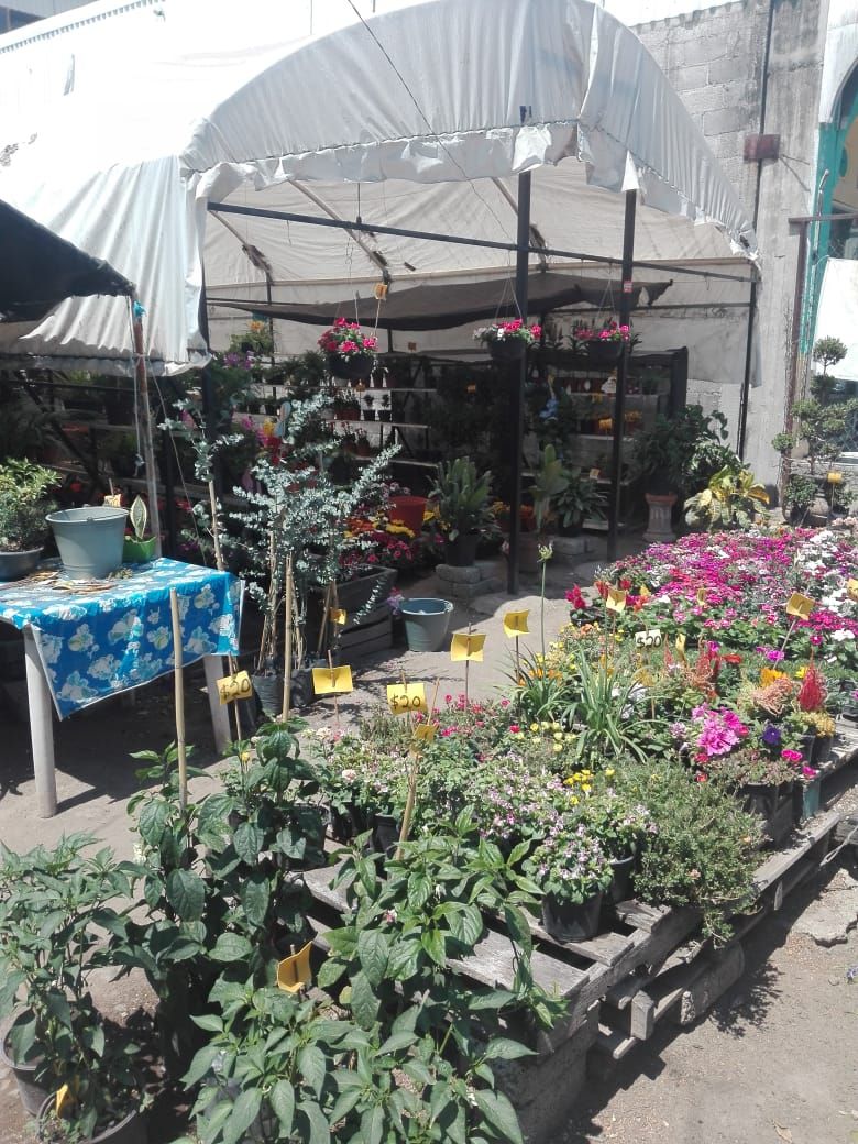 leetx-google-photo-85928-1