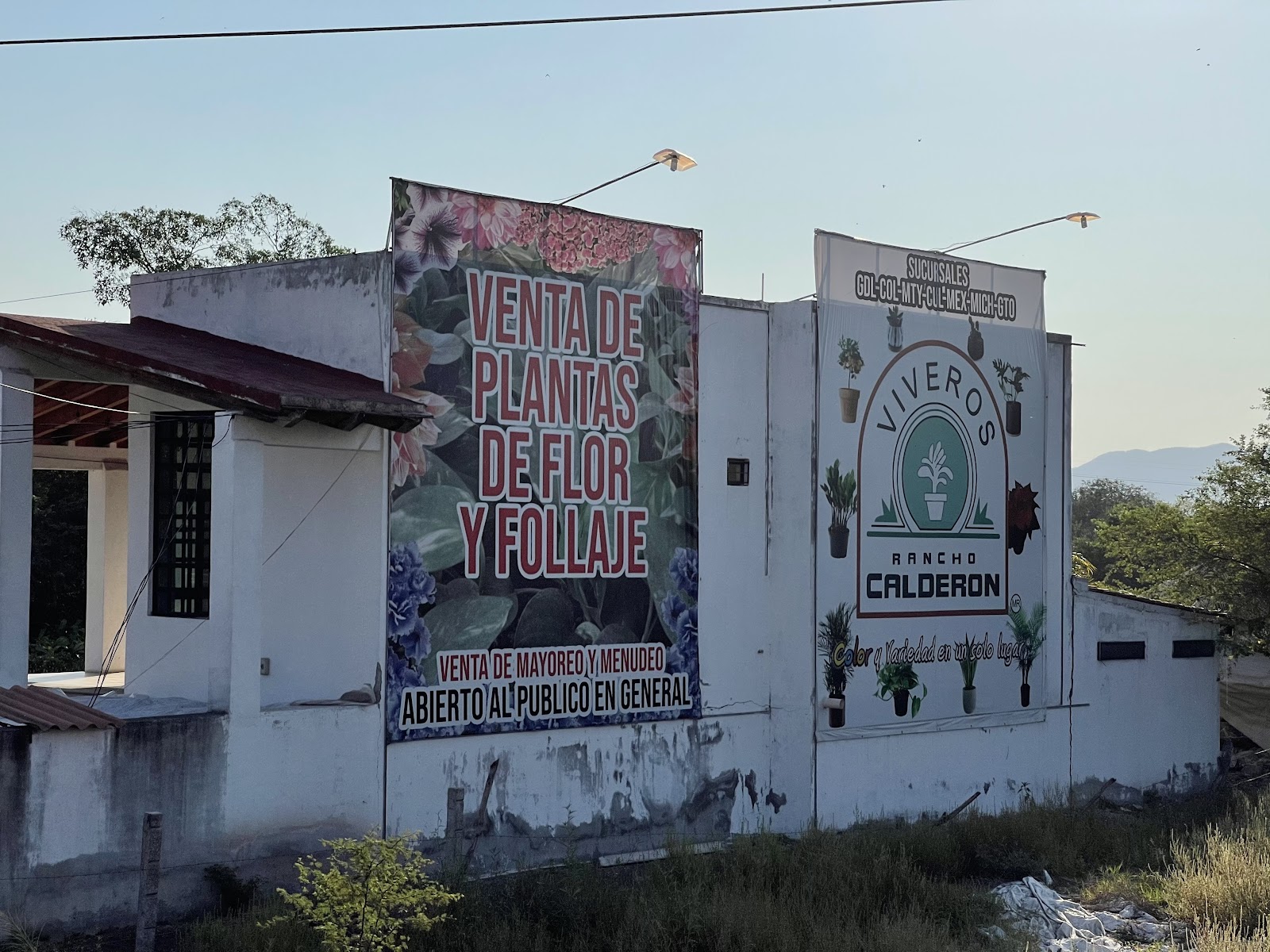 leetx-google-photo-85958-1