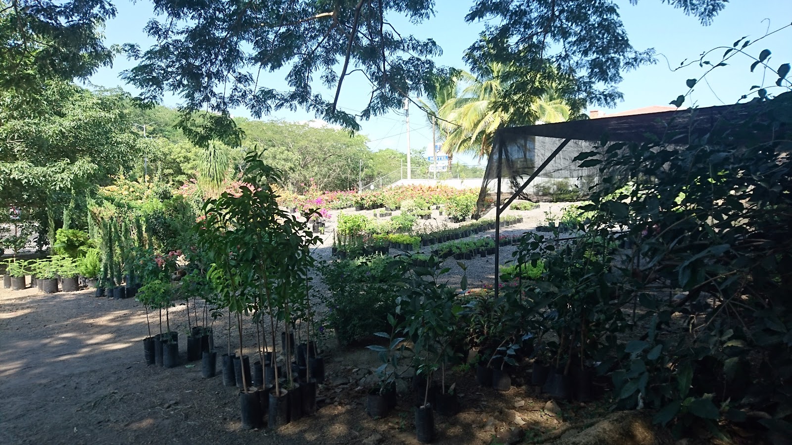 leetx-google-photo-85968-1