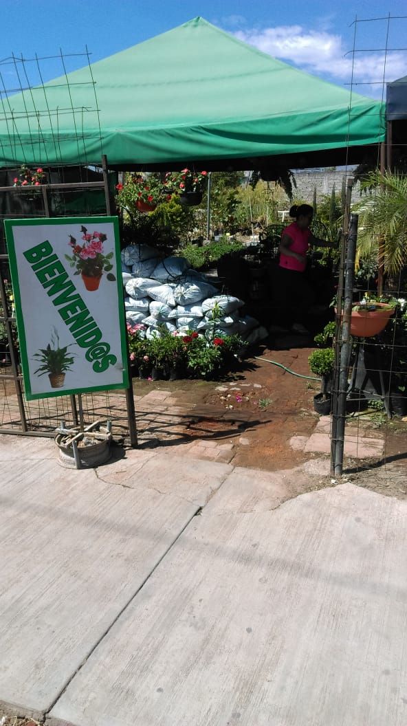 leetx-google-photo-86031-1