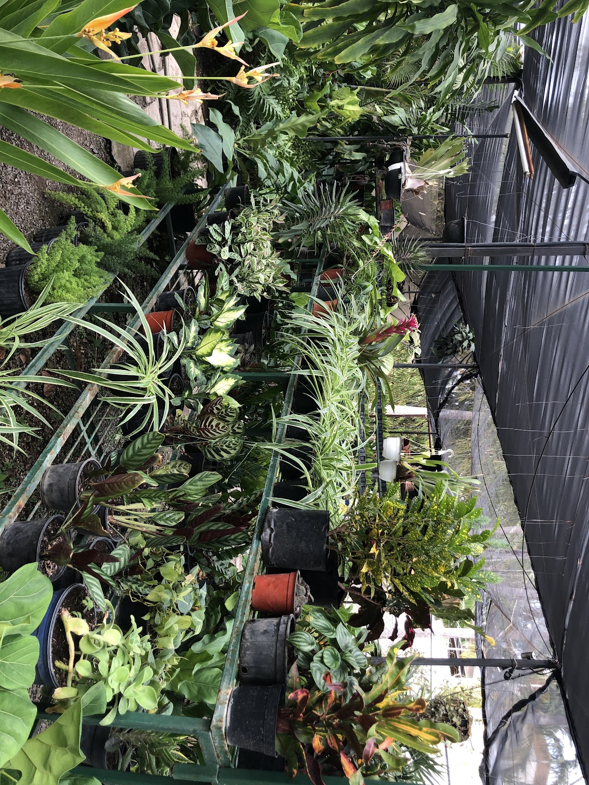 leetx-google-photo-86034-1