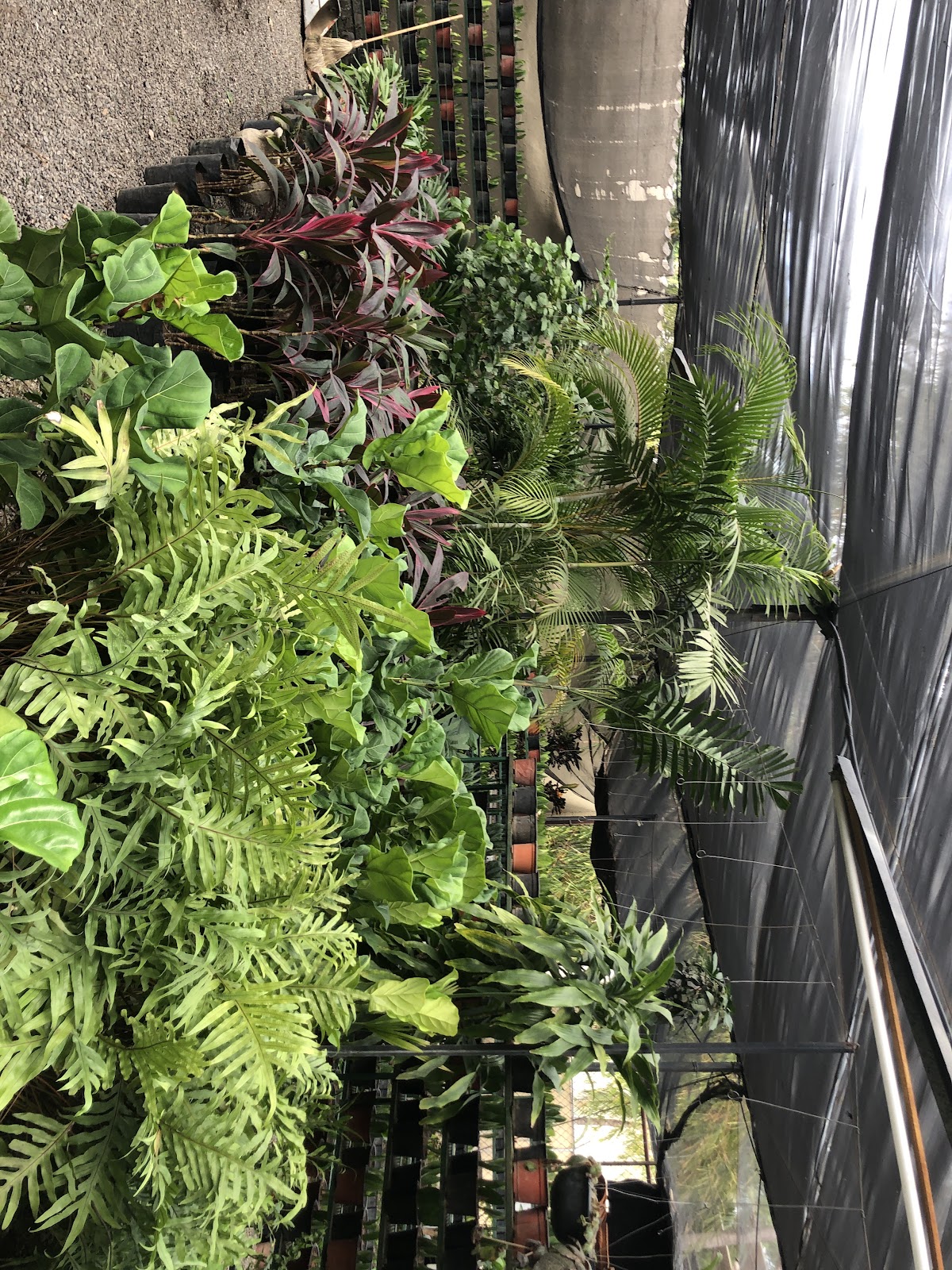 leetx-google-photo-86034-2 leetx-google-photo-86034-2