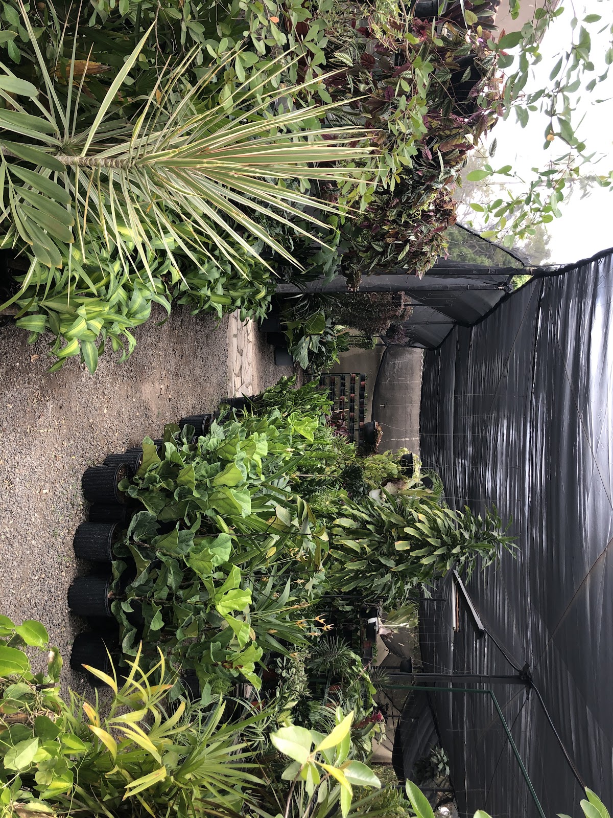 leetx-google-photo-86034-3 leetx-google-photo-86034-3