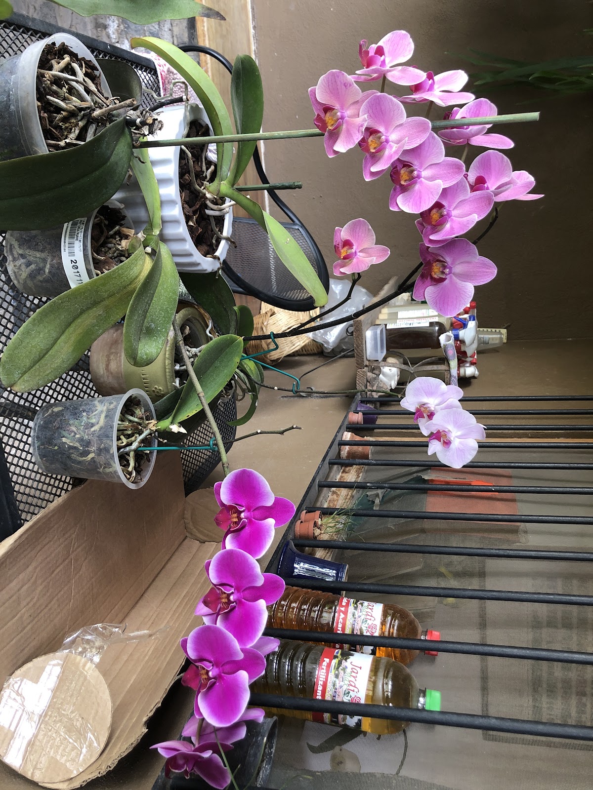 leetx-google-photo-86034-5 leetx-google-photo-86034-5