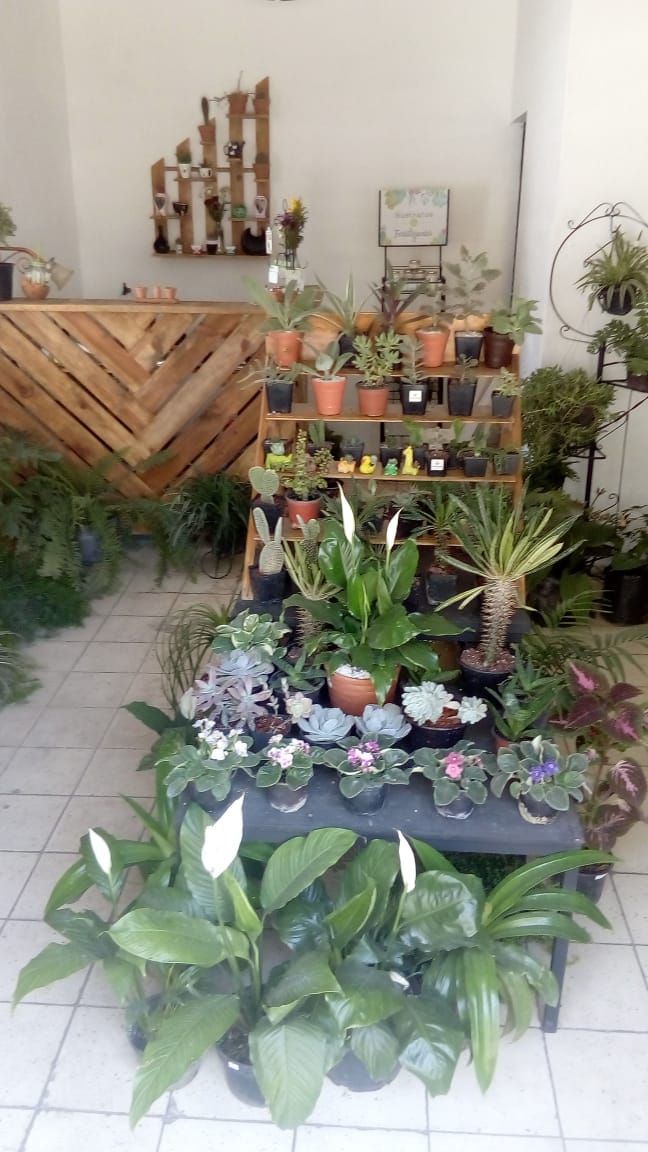 leetx-google-photo-86042-1