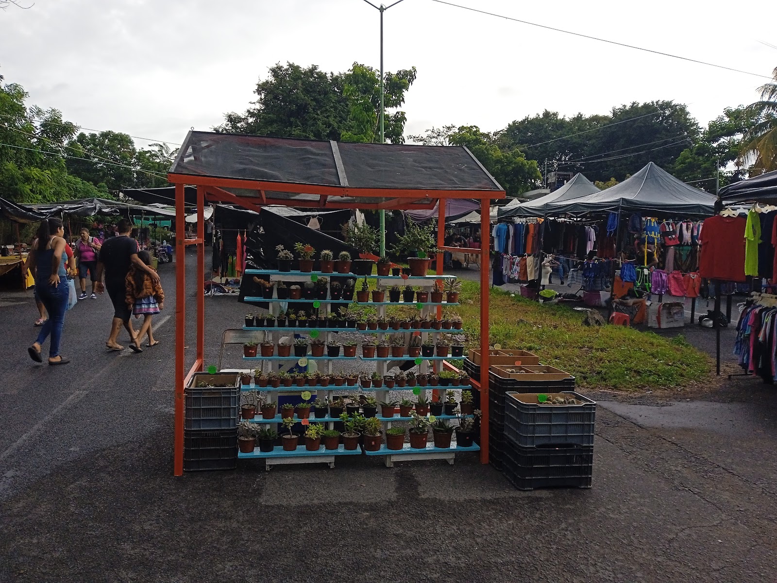 leetx-google-photo-86052-1