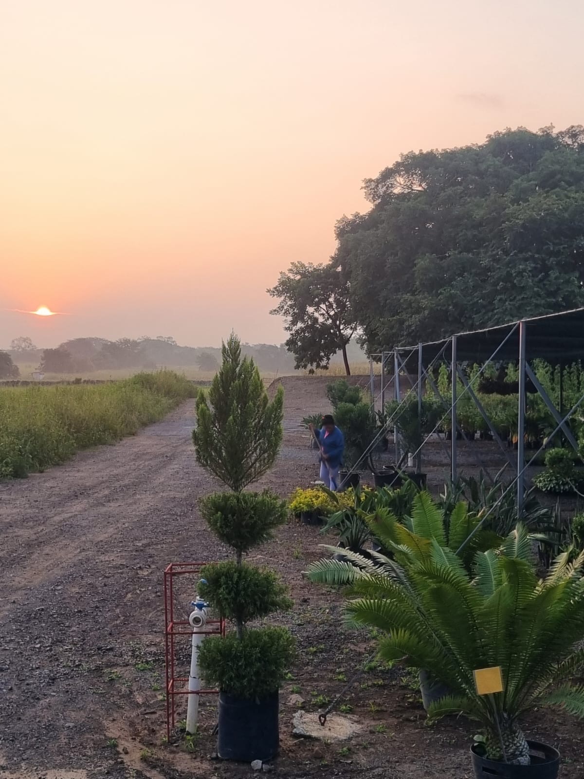 leetx-google-photo-86075-1