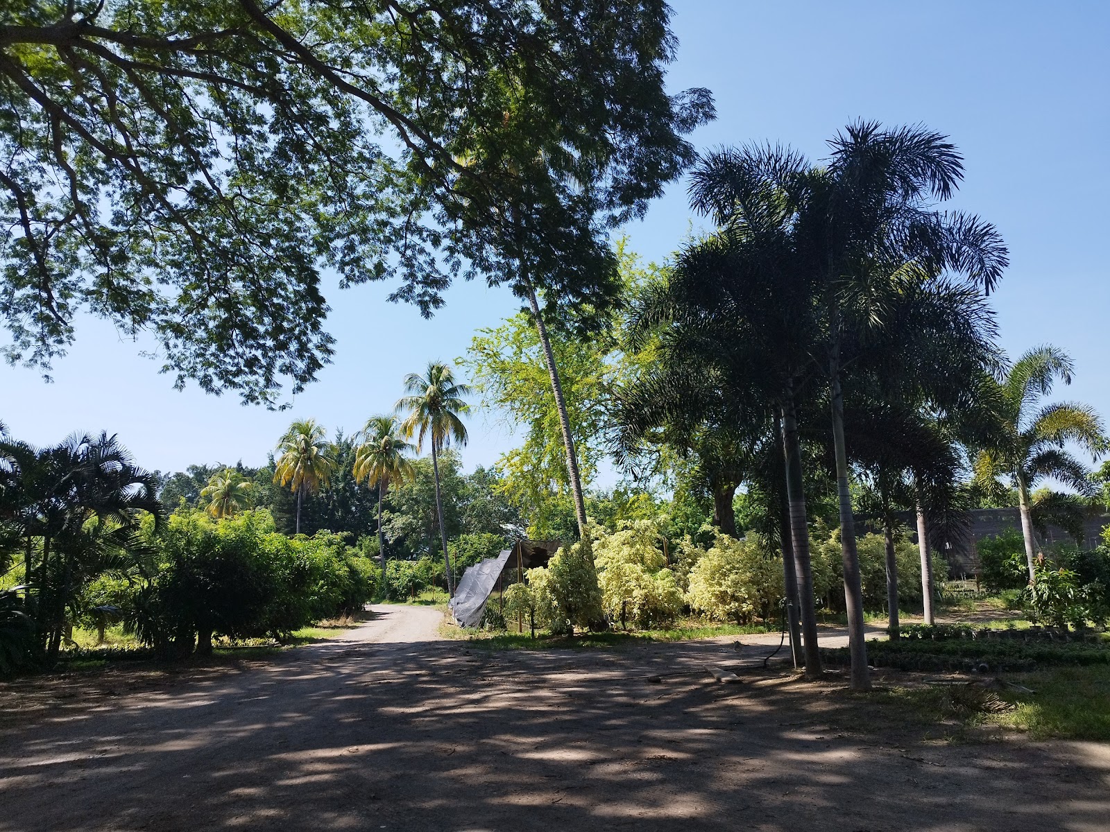 leetx-google-photo-86089-2 leetx-google-photo-86089-2