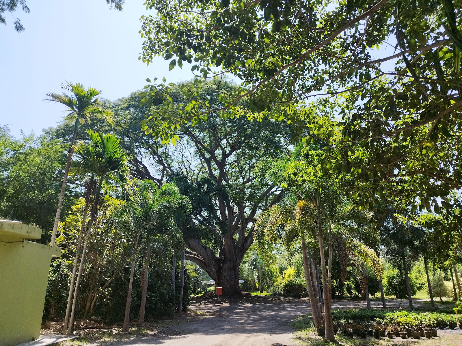 leetx-google-photo-86089-3 leetx-google-photo-86089-3