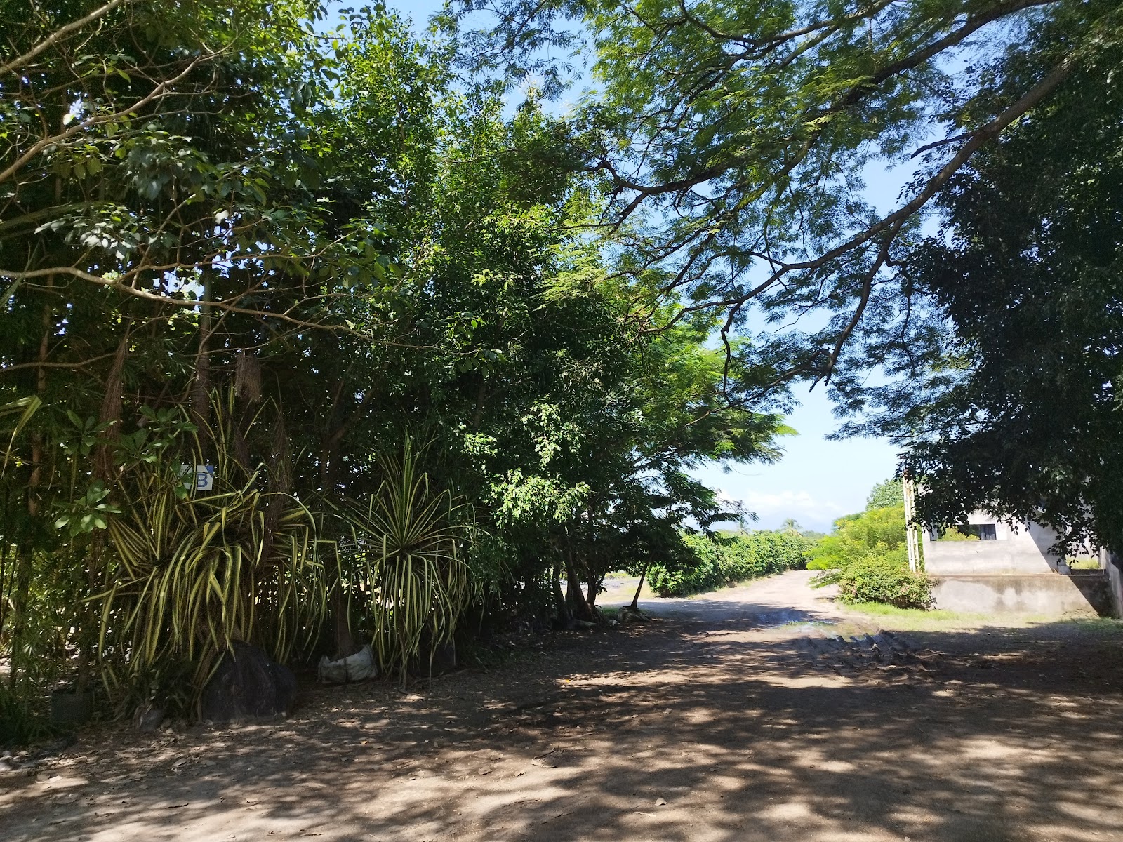 leetx-google-photo-86089-4 leetx-google-photo-86089-4