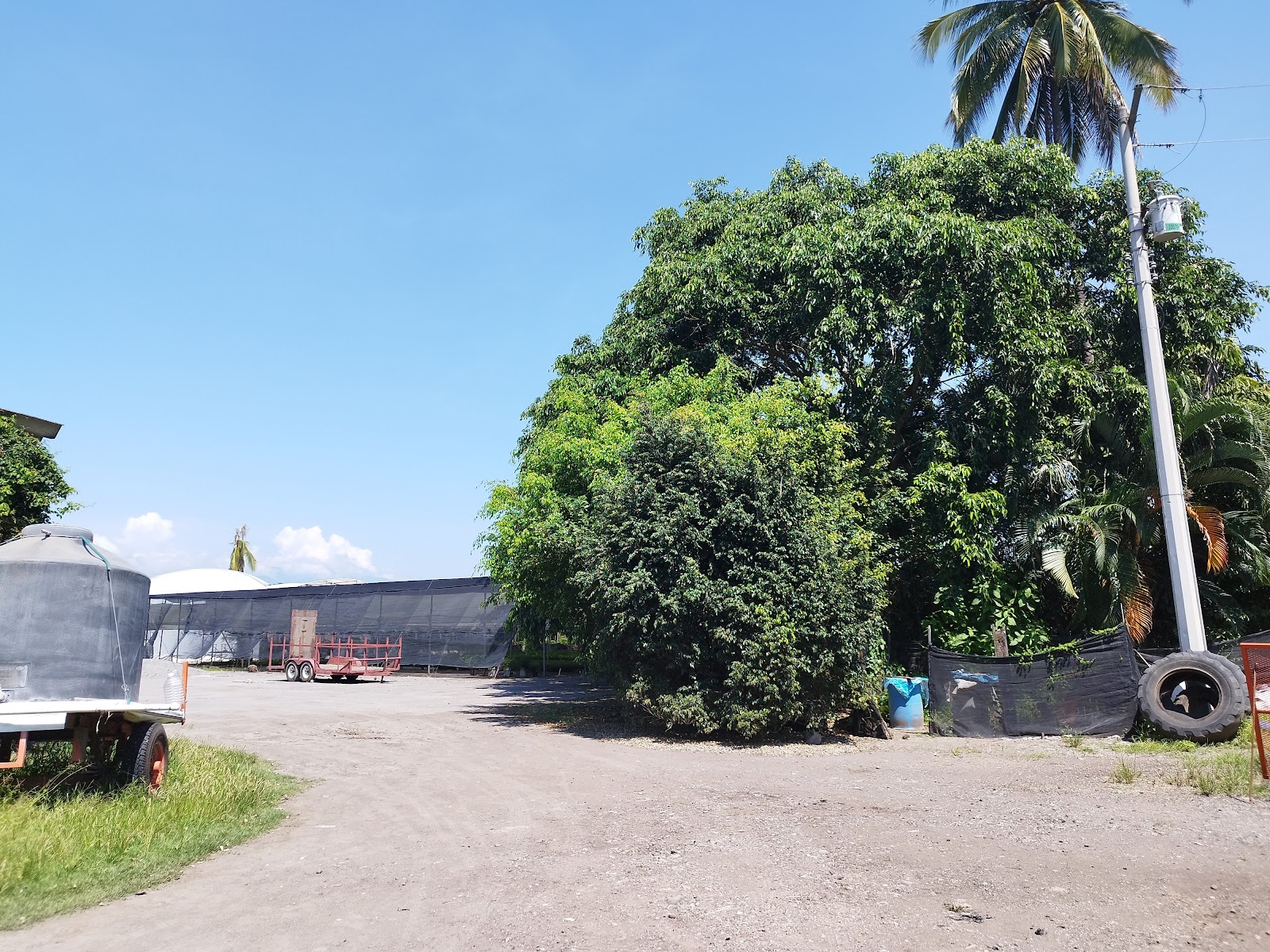 leetx-google-photo-86089-5 leetx-google-photo-86089-5