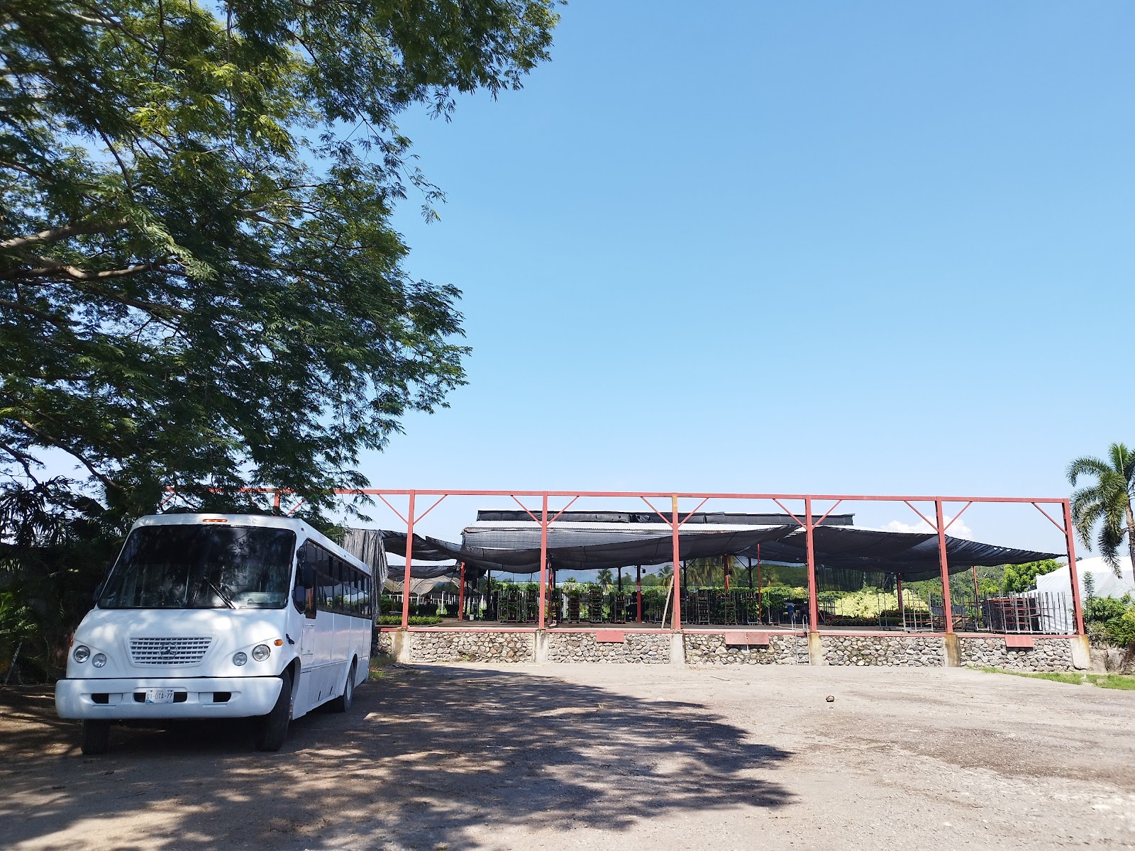 leetx-google-photo-86089-6 leetx-google-photo-86089-6